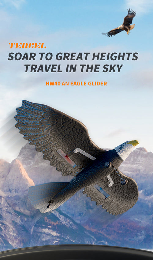 RC Eagle For Kids Trendy zone